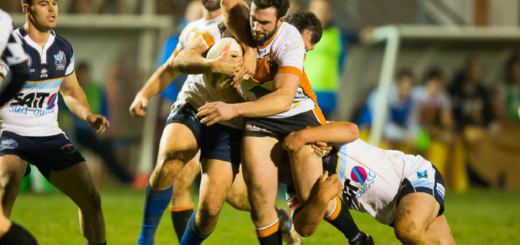 Albi Tigers