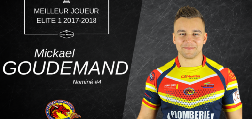 Mickael Goudemand - Meilleur joueur #4