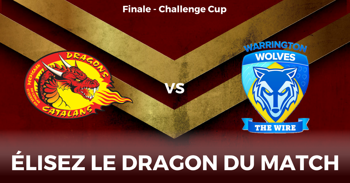 Drapeau Dragons Catalans – Rugby XIII – Supporter – Excellent état